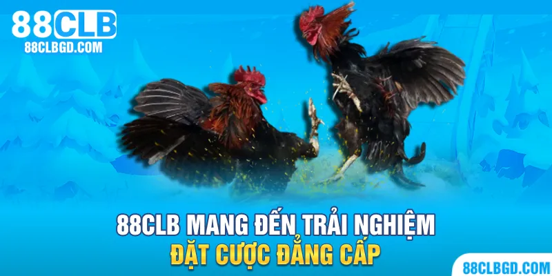 88CLB mang đến trải nghiệm đặt cược đẳng cấp hàng đầu