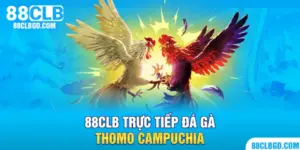 trực tiếp đá gà thomo campuchia