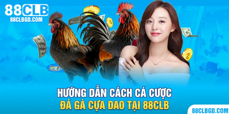 Hướng dẫn cách cá cược đá gà cựa dao từ A đến Z
