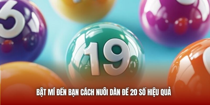 Bật mí đến bạn cách nuôi dàn đề 20 số hiệu quả 