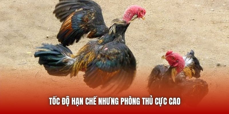 Tốc độ hạn chế nhưng phòng thủ cực cao