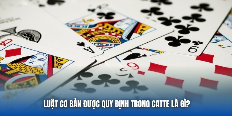 Luật cơ bản được quy định trong Catte là gì?