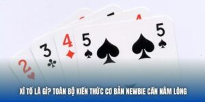 Xì Tố Là Gì? Toàn Bộ Kiến Thức Cơ Bản Newbie Cần Nằm Lòng