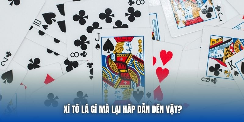 Xì Tố là gì mà lại hấp dẫn đến vậy?