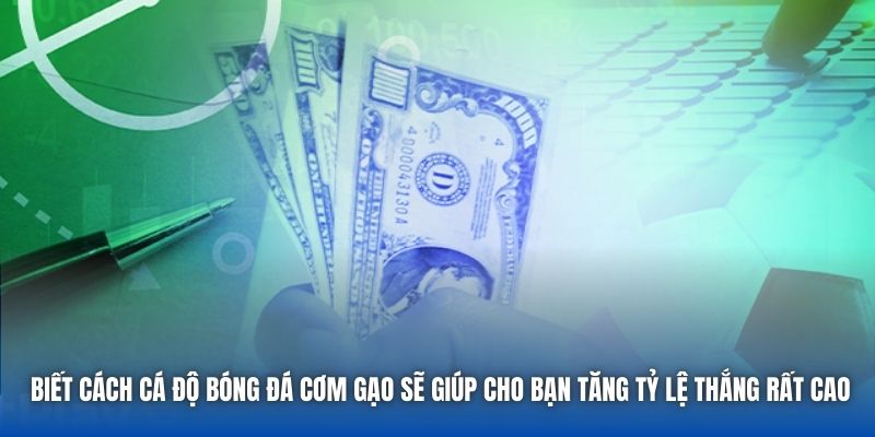 Biết cách cá độ bóng đá cơm gạo sẽ giúp cho bạn tăng tỷ lệ thắng rất cao