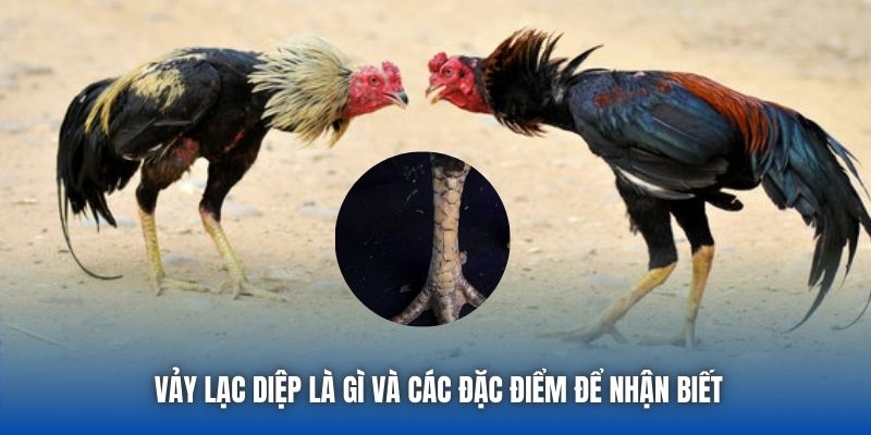 Vảy lạc diệp là gì và các đặc điểm để nhận biết
